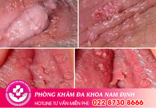 Phòng khám đa khoa Nam Định