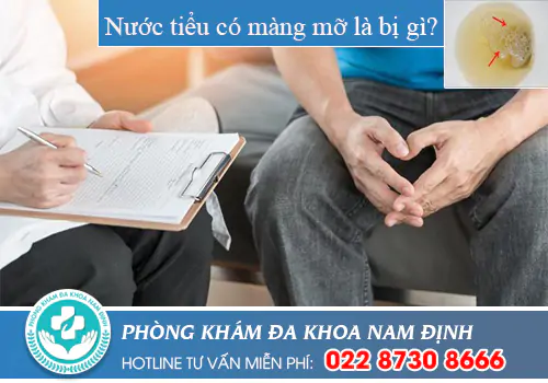Nước tiểu có màng mỡ là bị gì?