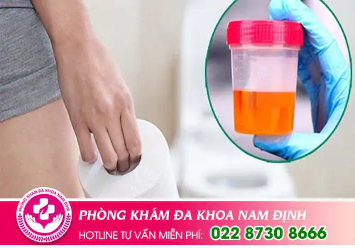 Tiểu ra máu đái ra máu ở nữ giới có sao không?