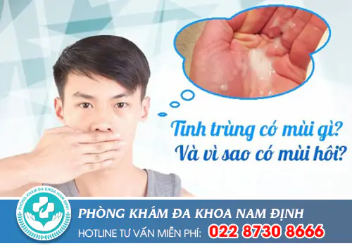 Phòng khám đa khoa Nam Định